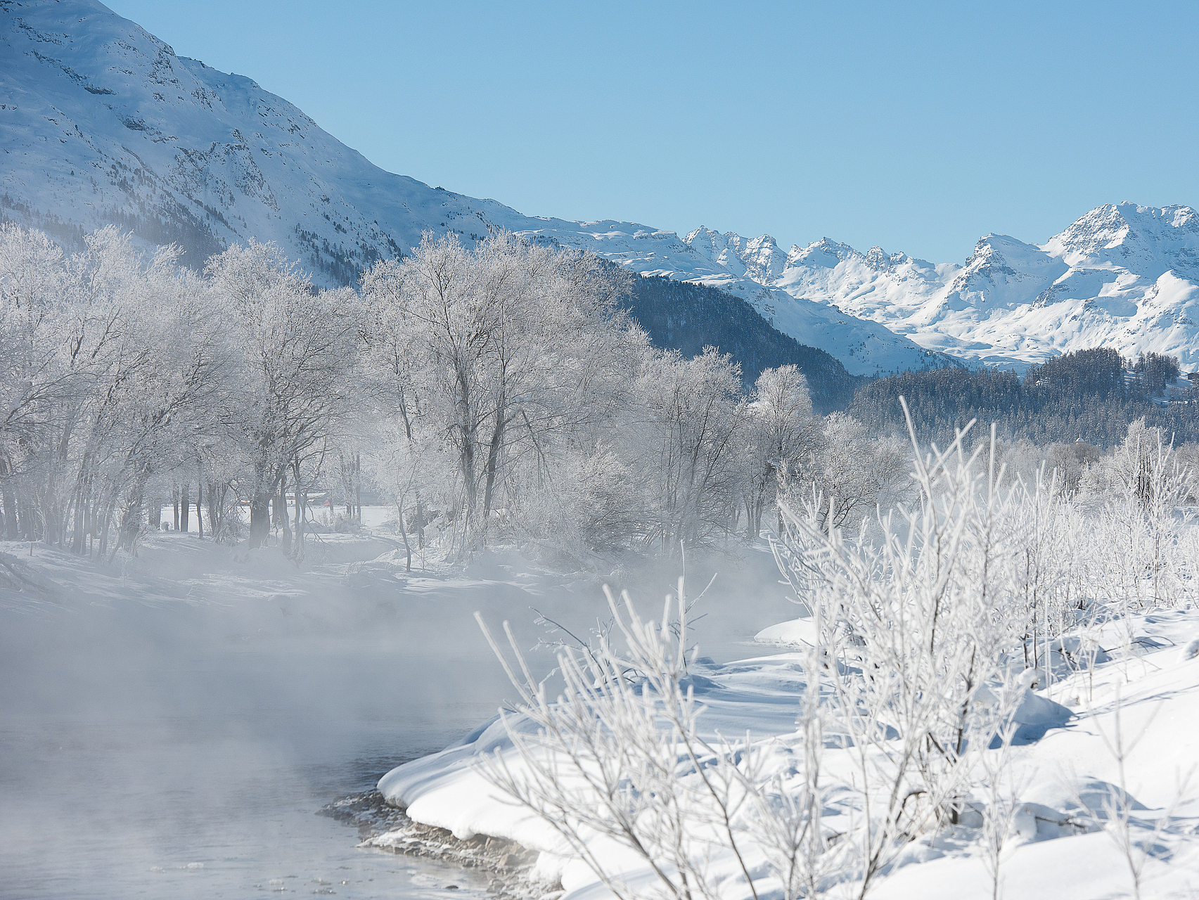 Winterlandschaft im Engadin Dampfender Fluss in verschneiter Landschaft mit gefrorenen Bäumen und Bergen