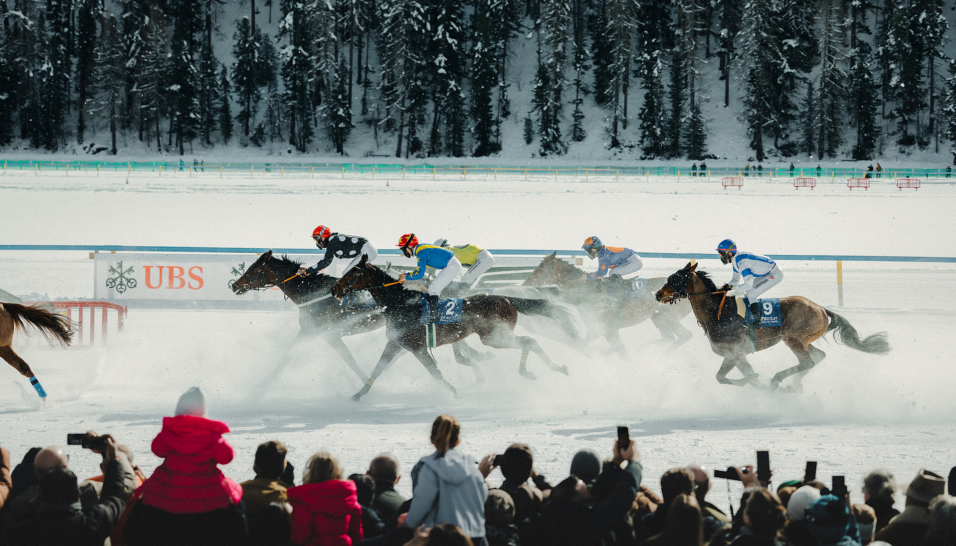 White Turf Pferderennen in St. Moritz Jockeys reiten auf einer schneebedeckten Rennbahn mit Zuschauern im Vordergrund
