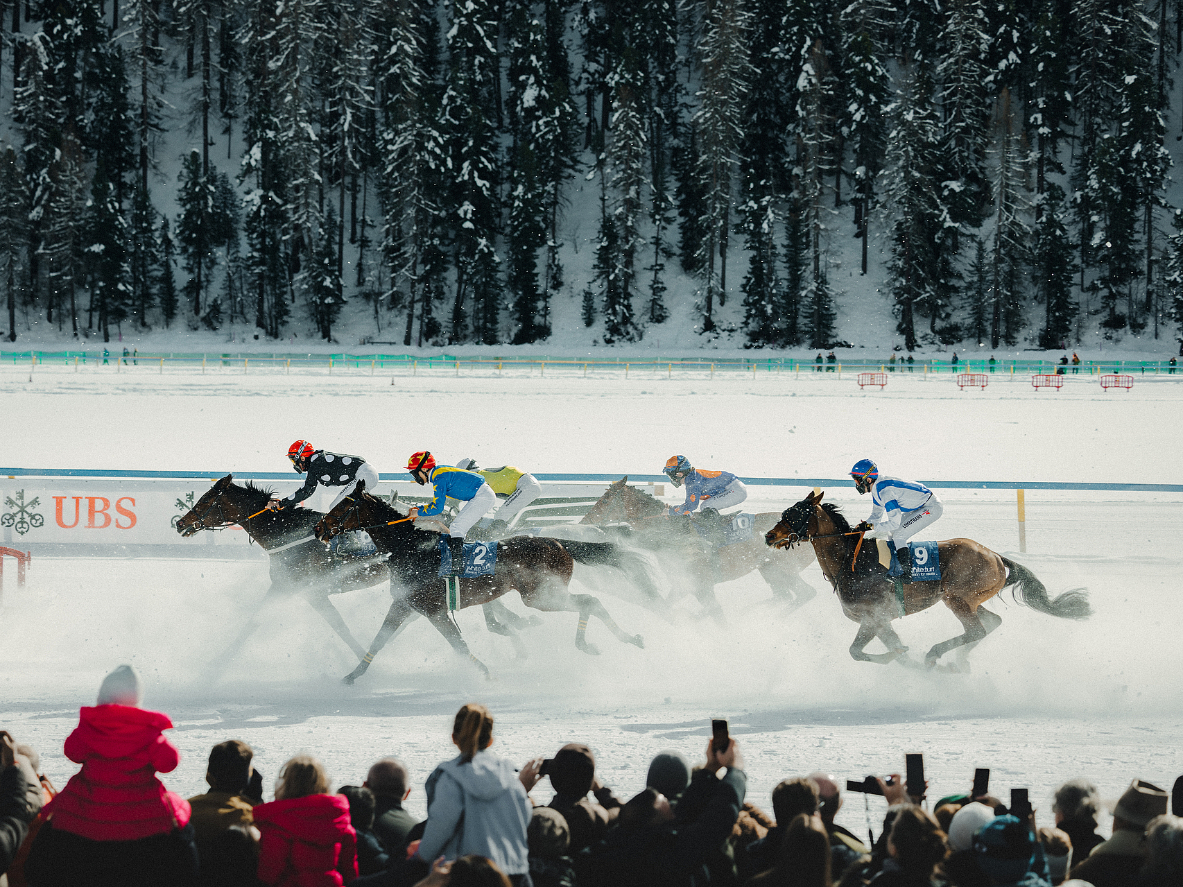 White Turf Pferderennen in St. Moritz Jockeys reiten auf einer schneebedeckten Rennbahn mit Zuschauern im Vordergrund