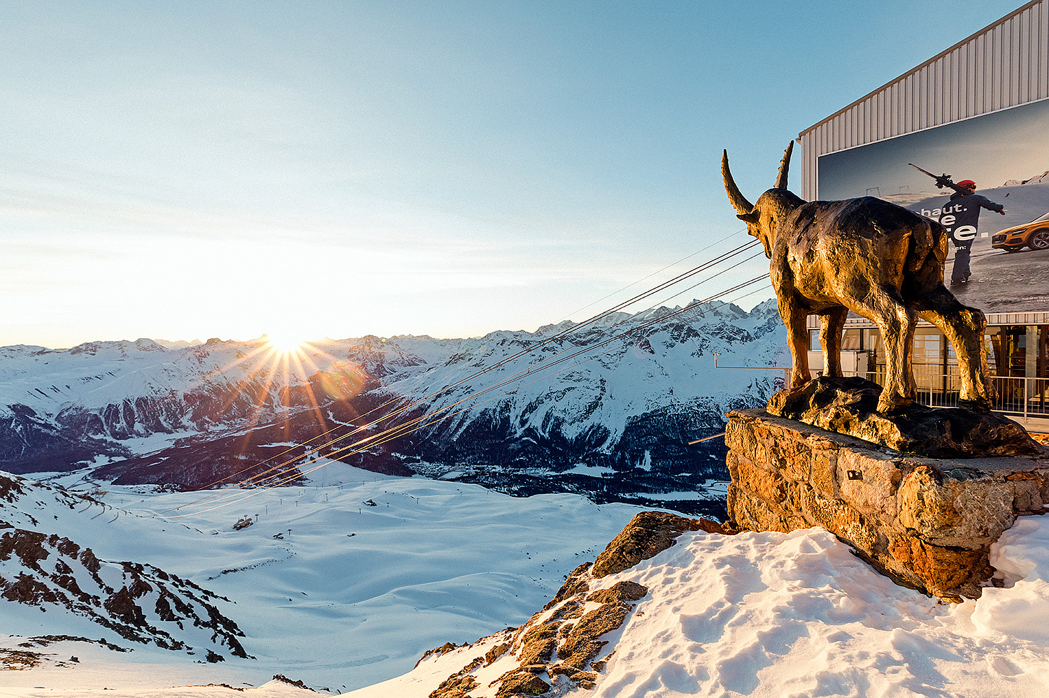 Bronzene Steinbock-Statue auf verschneitem Berggipfel im Sonnenuntergang.