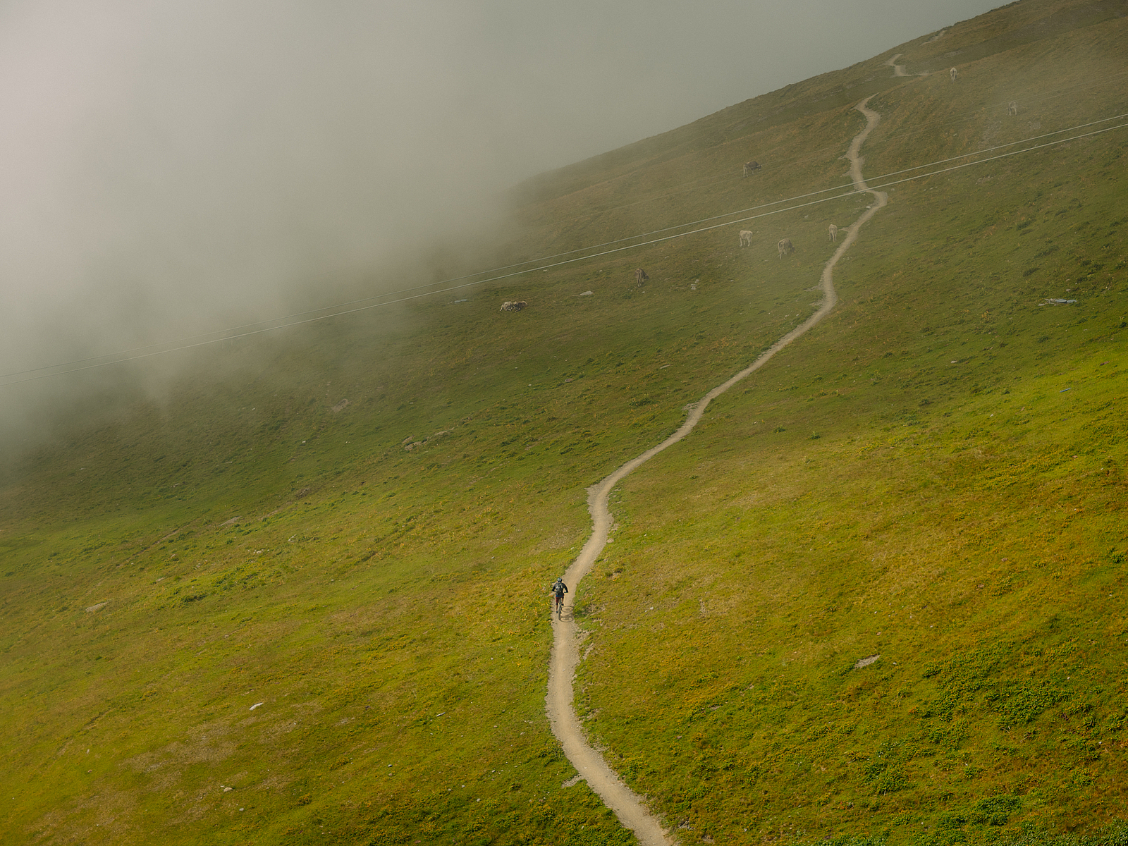 Mountainbiken im Nebel Ein einzelner Mountainbiker auf einem Serpentinenpfad an einem Hang.