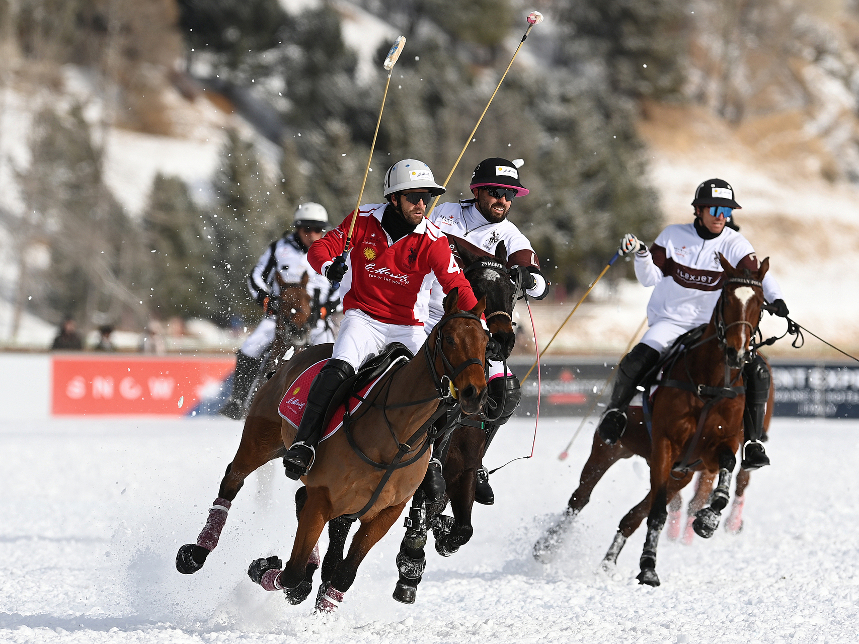 Snow-Polo-Spiel Pferdesportler beim rasanten Snow-Polo-Spiel auf verschneitem Platz.