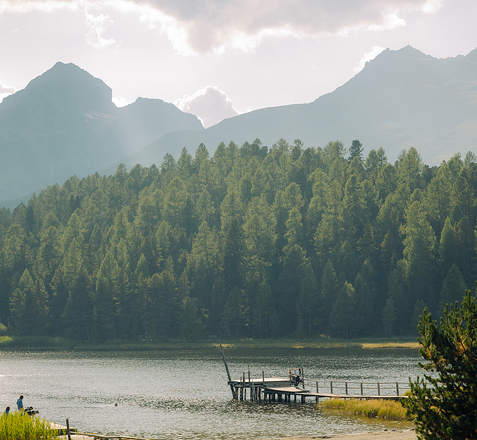 Alpenpanorama am See Bergsee mit Holzsteg, grünem Wald und Bergen im Hintergrund.
