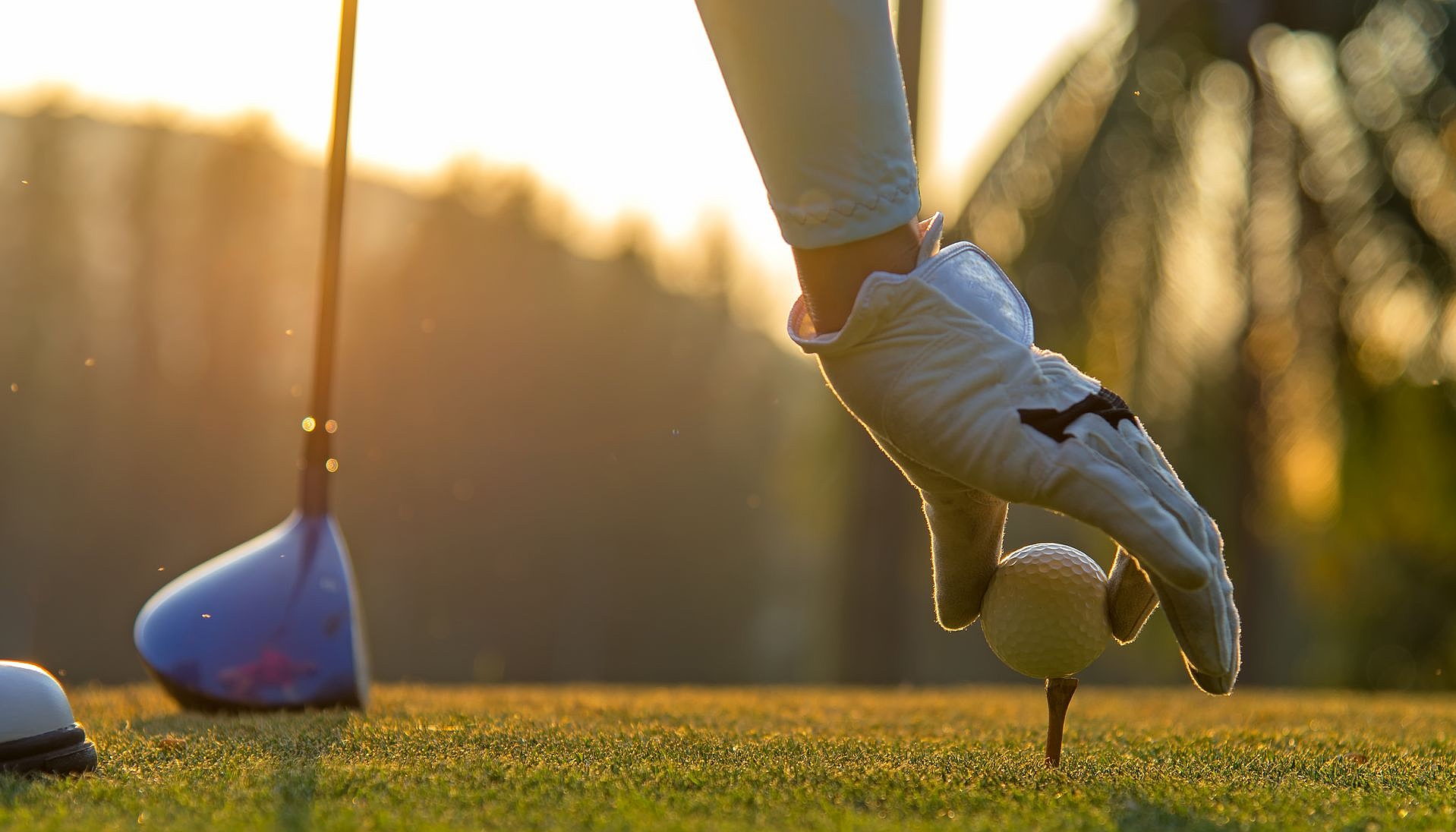 Golfer beim Abschlag im Sonnenuntergang Golferhand mit weißem Handschuh platziert Golfball auf Tee bei Sonnenuntergang.