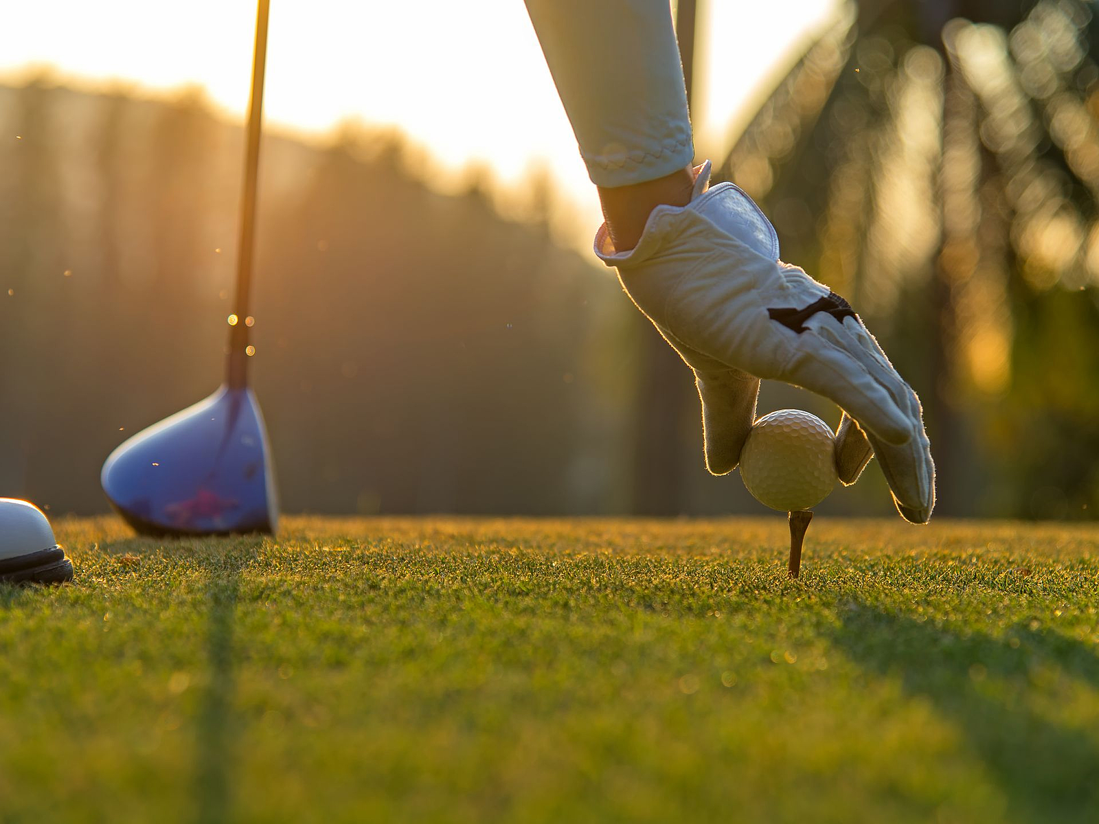 Golfer beim Abschlag im Sonnenuntergang Golferhand mit weißem Handschuh platziert Golfball auf Tee bei Sonnenuntergang.