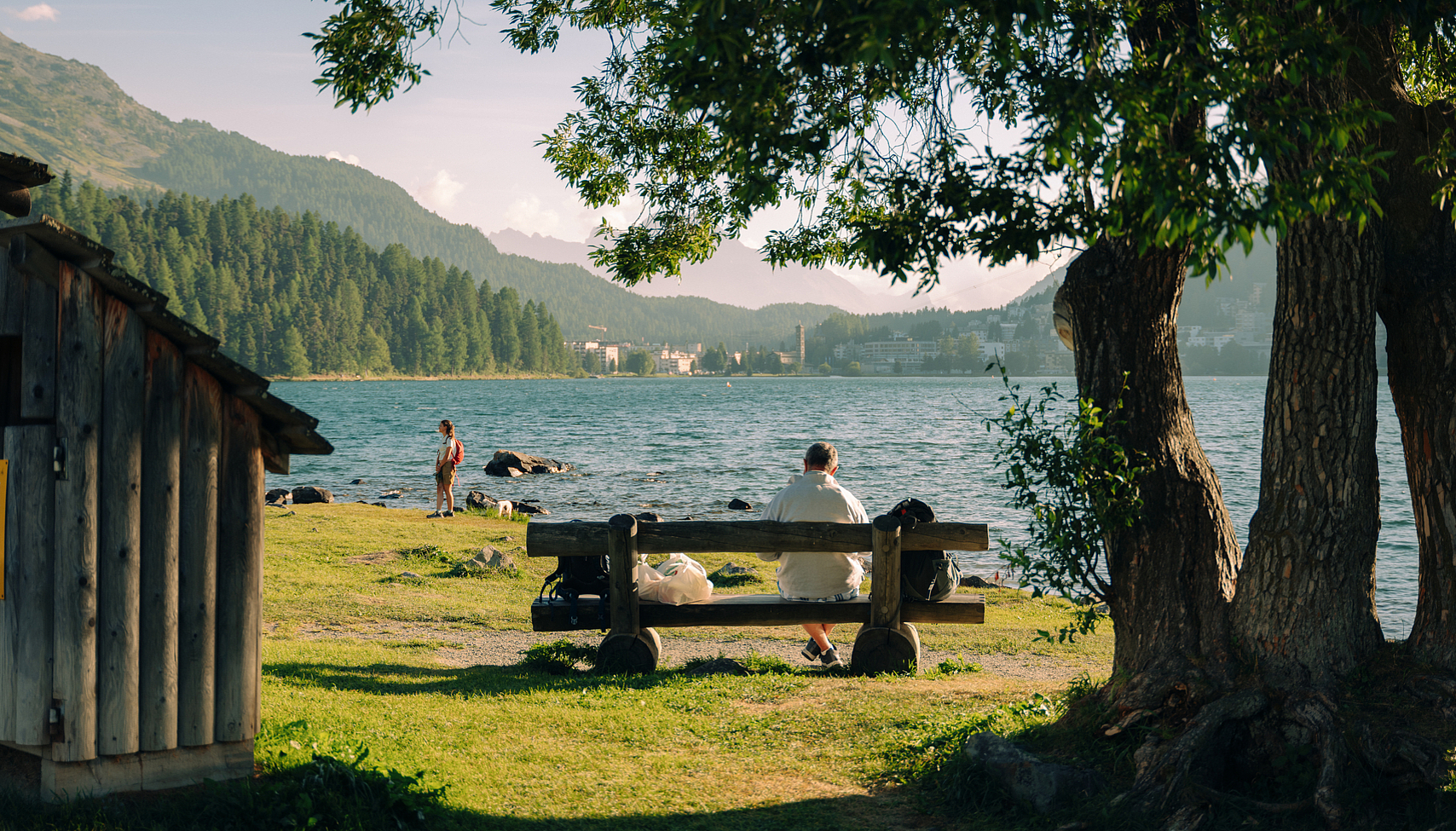 Entspannung am See Ein Mann sitzt auf einer Bank unter einem belaubten Baum mit Blick auf einen malerischen Bergsee.