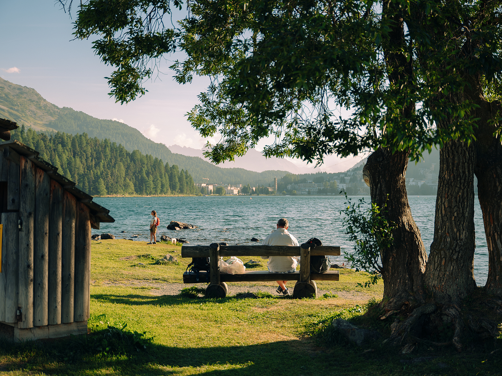 Ein Mann sitzt auf einer Bank unter einem belaubten Baum mit Blick auf einen malerischen Bergsee.