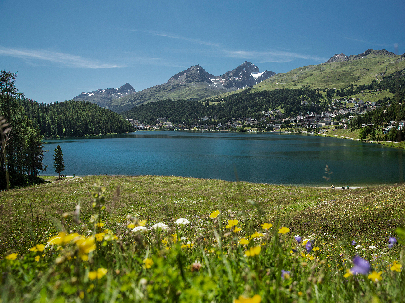 Malerischer Alpsees mit Blumen Alpsee mit Bergen und Wildblumen im Vordergrund