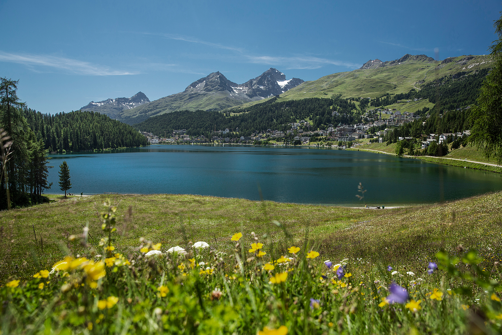 Alpsee mit Bergen und Wildblumen im Vordergrund
